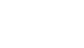 LevelFlight