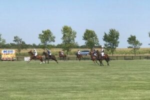 Polo Event with Dynamic Jets