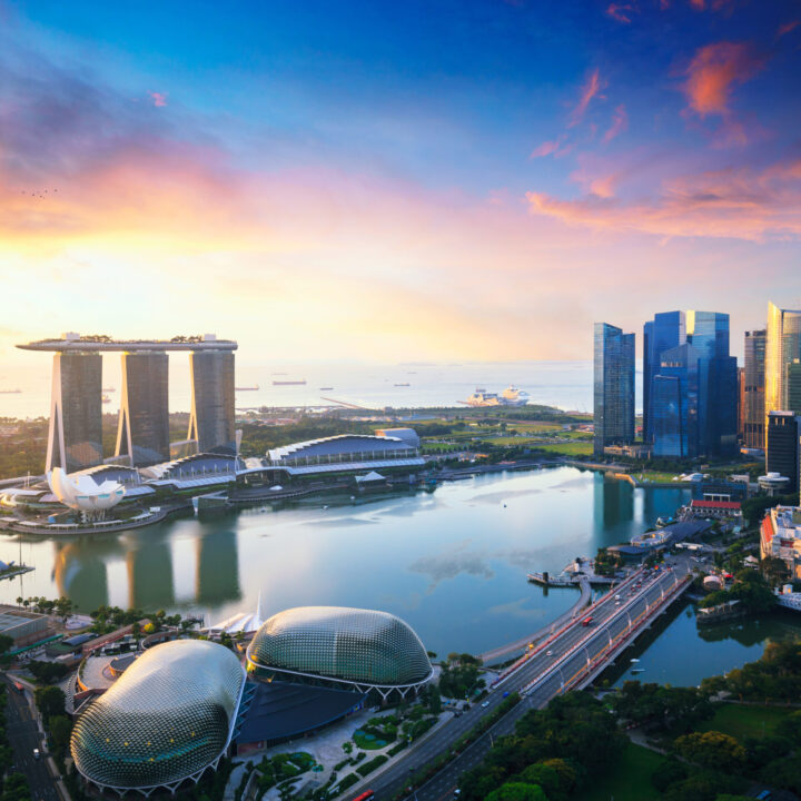 Singapore is for Business: An Executive Travel Guide