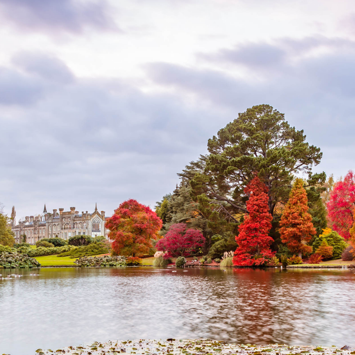 updates on empty leg flights during autumn