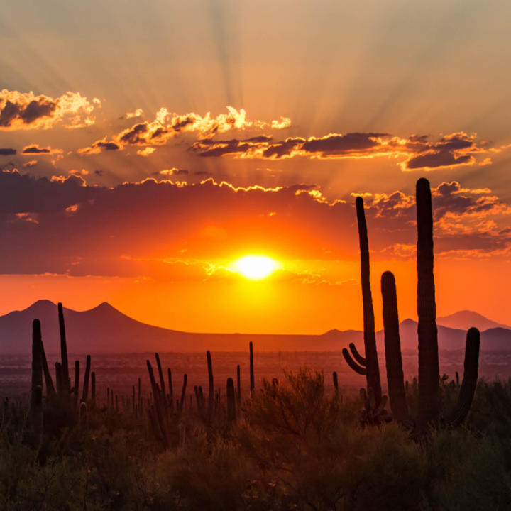desert in tuscon, arizona