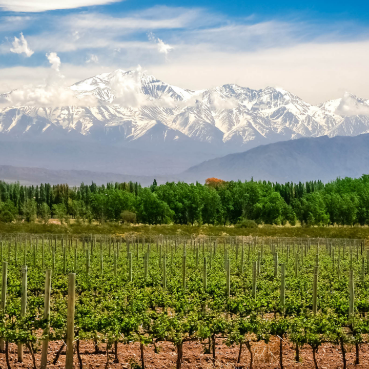 flights to mendoza, argentina