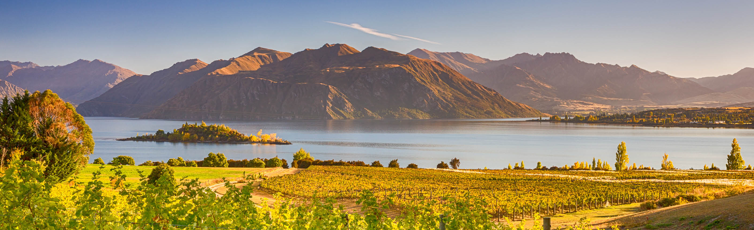 New Zealand Wine Tour
