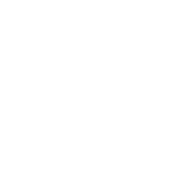 LevelFlight logo