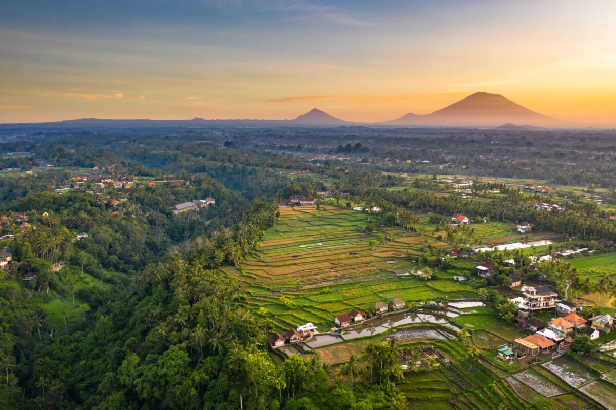 Sunrise over rice fields in Ubud, Bali. Aerial drone shot.