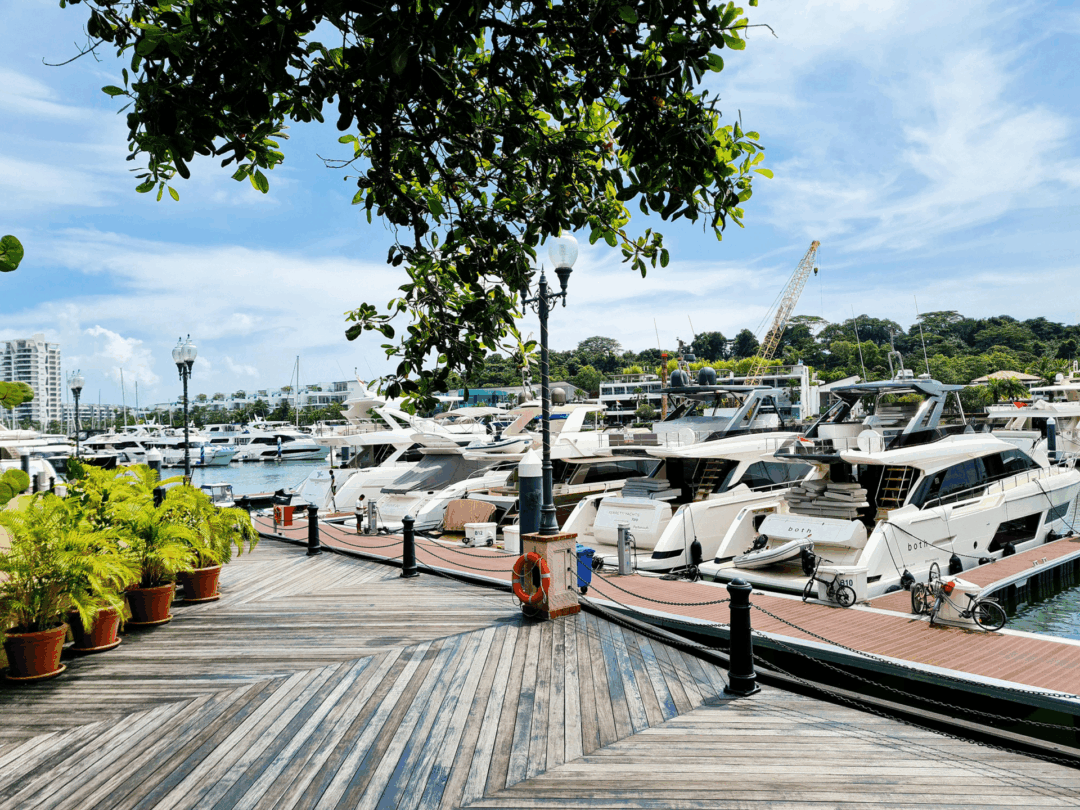 Singapore Yachting Festival | Yachts tied up at harbor