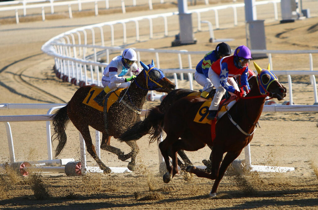 Preakness Stakes