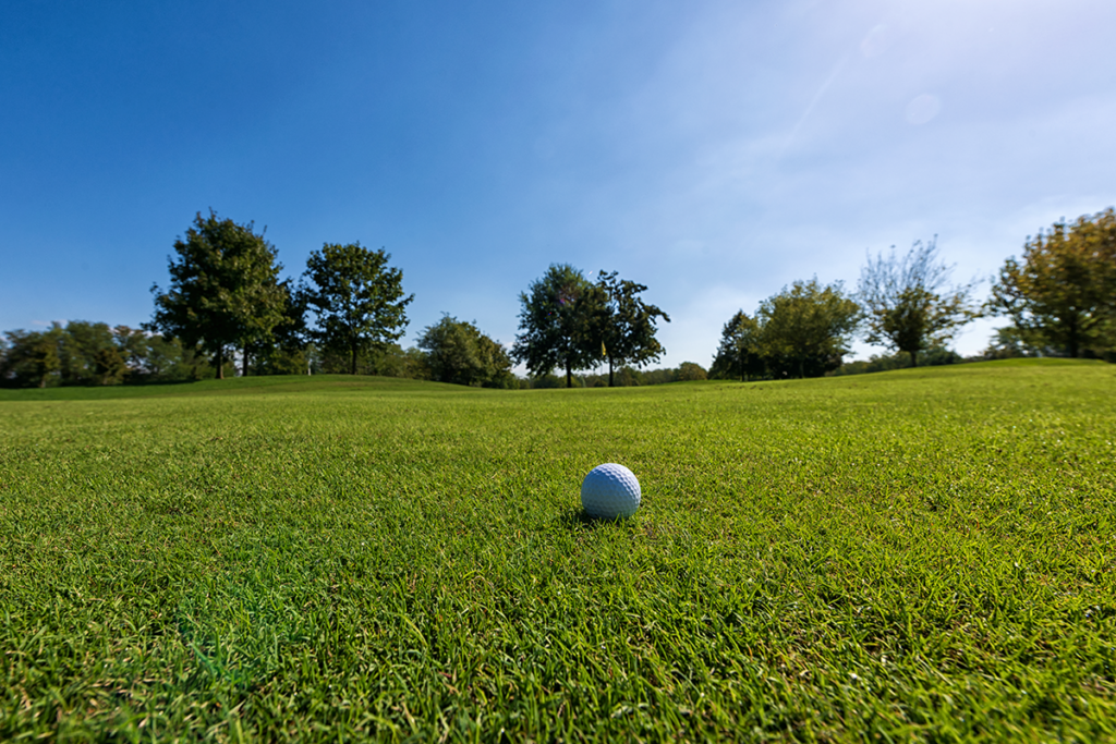 PGA Golf Championship