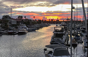 newport charter yacht show