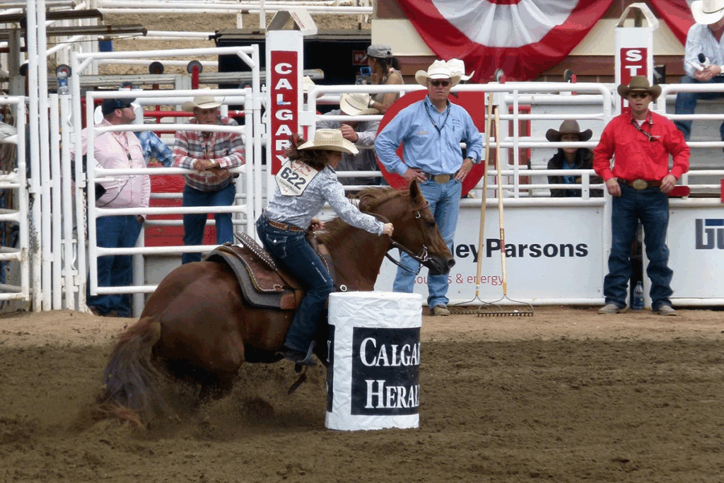 Calgary Stampede; rodeo competition