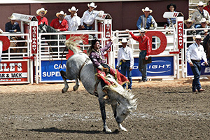 Stampede