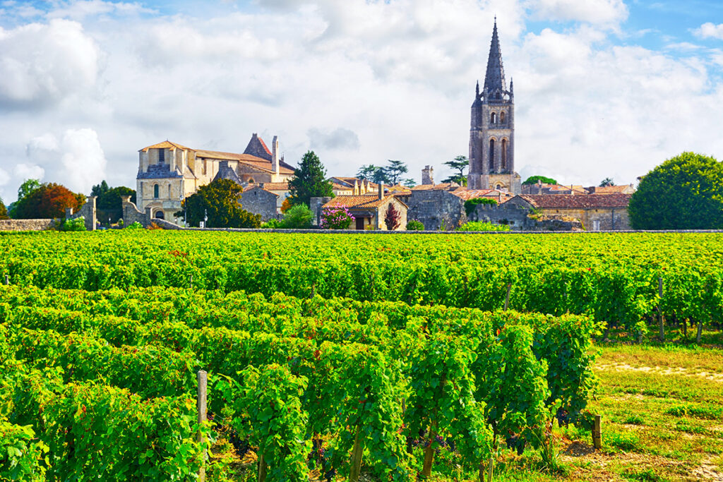 bordeaux wine vineyard
