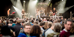 Fans at concert