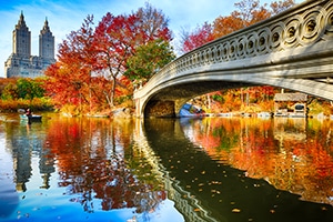 Fall foliage by a bridge in Central Park