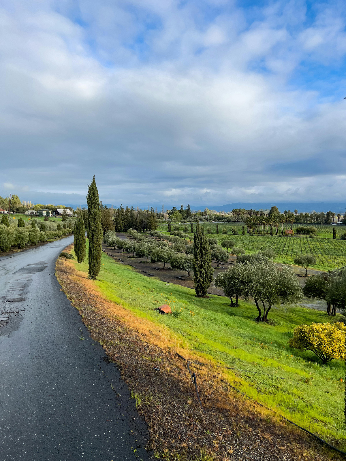 Napa Valley
