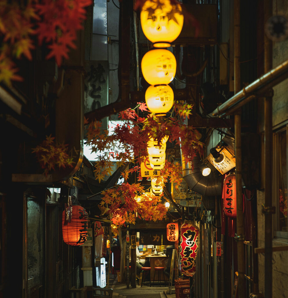 Alleyway in Tokyo
