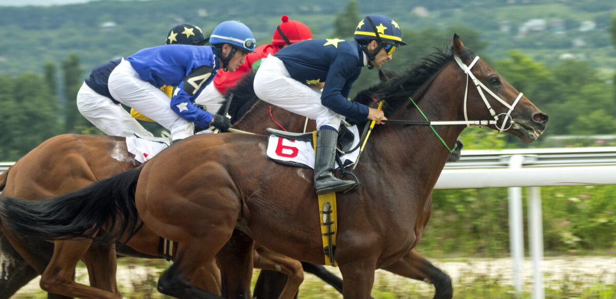 Horse race for the prize at Dubai.