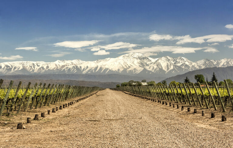 argentina wine regions